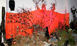 Fynbos en Musiek Expo